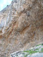 SNV80243.JPG